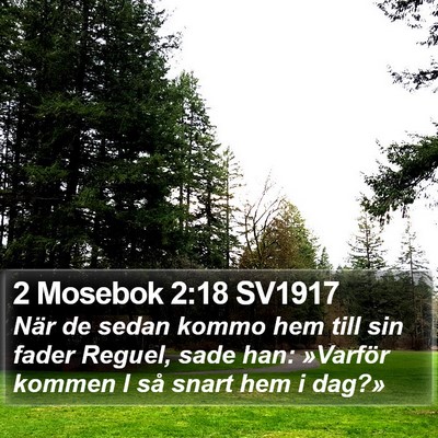 2 Mosebok 2:18 SV1917 Bible Verse Image