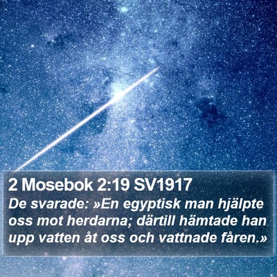 2 Mosebok 2:19 SV1917 Bible Verse Image