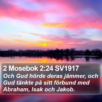 2 Mosebok 2:24 SV1917 Bible Verse Image