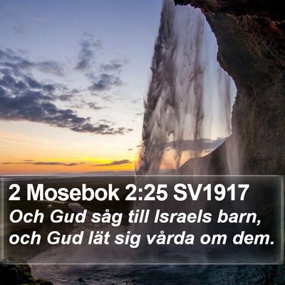 2 Mosebok 2:25 SV1917 Bible Verse Image