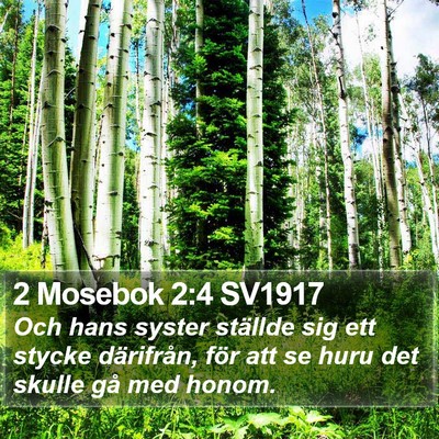 2 Mosebok 2:4 SV1917 Bible Verse Image