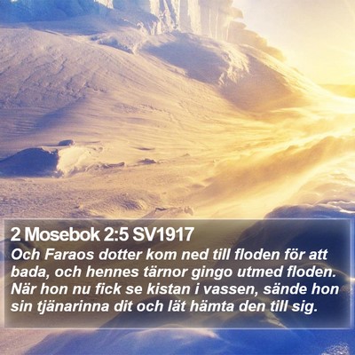 2 Mosebok 2:5 SV1917 Bible Verse Image
