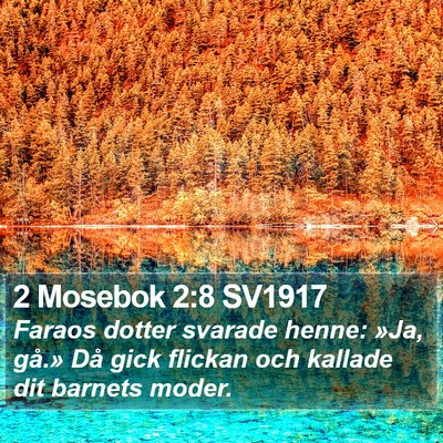 2 Mosebok 2:8 SV1917 Bible Verse Image