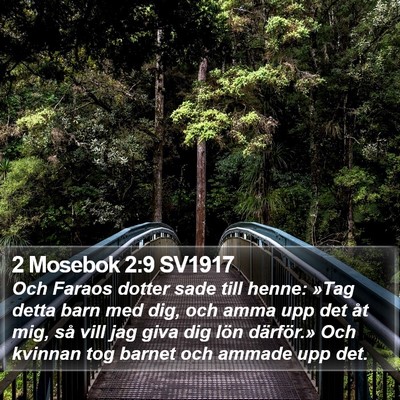 2 Mosebok 2:9 SV1917 Bible Verse Image