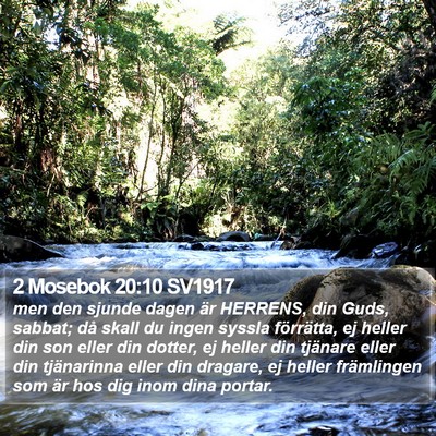 2 Mosebok 20:10 SV1917 Bible Verse Image