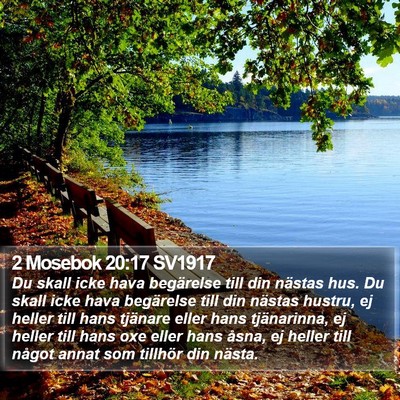 2 Mosebok 20:17 SV1917 Bible Verse Image