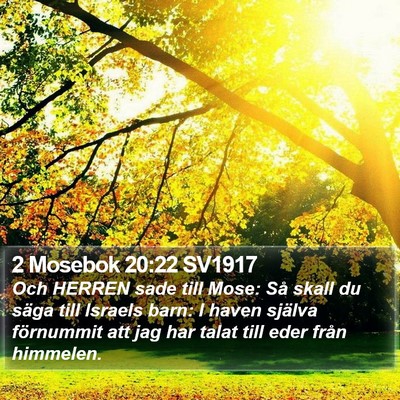 2 Mosebok 20:22 SV1917 Bible Verse Image
