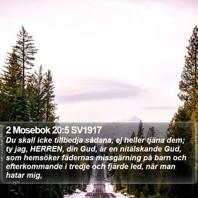 2 Mosebok 20:5 SV1917 Bible Verse Image