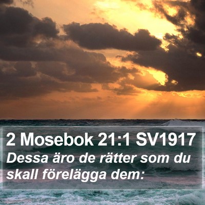2 Mosebok 21:1 SV1917 Bible Verse Image