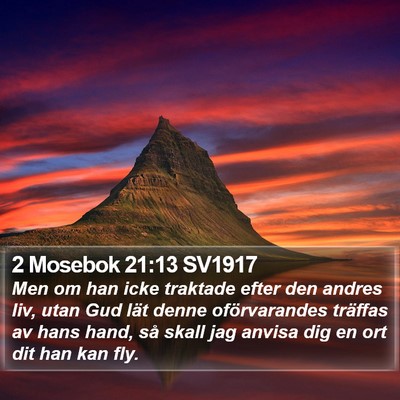 2 Mosebok 21:13 SV1917 Bible Verse Image