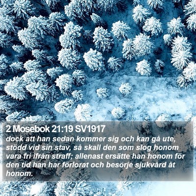 2 Mosebok 21:19 SV1917 Bible Verse Image