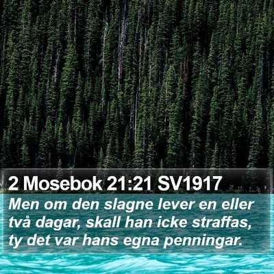 2 Mosebok 21:21 SV1917 Bible Verse Image