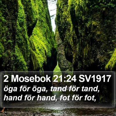 2 Mosebok 21:24 SV1917 Bible Verse Image