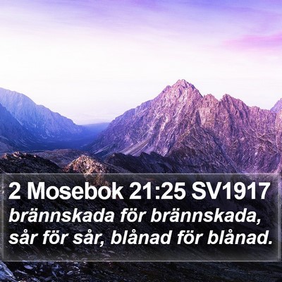 2 Mosebok 21:25 SV1917 Bible Verse Image