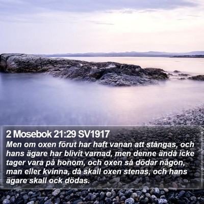 2 Mosebok 21:29 SV1917 Bible Verse Image