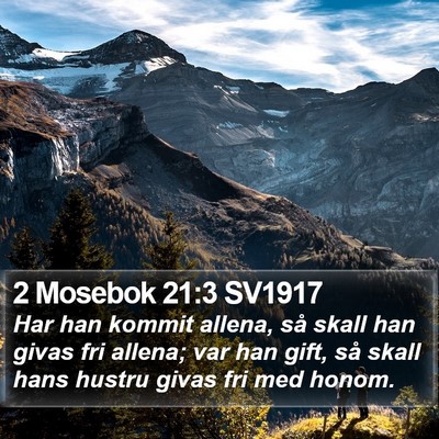 2 Mosebok 21:3 SV1917 Bible Verse Image