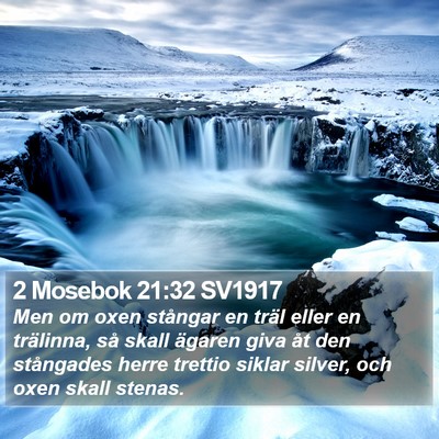 2 Mosebok 21:32 SV1917 Bible Verse Image