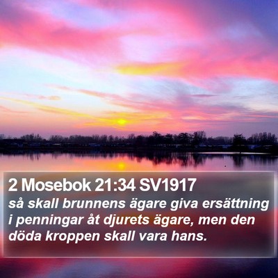 2 Mosebok 21:34 SV1917 Bible Verse Image
