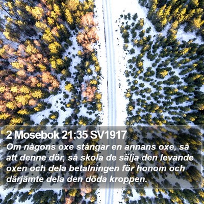 2 Mosebok 21:35 SV1917 Bible Verse Image