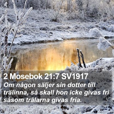 2 Mosebok 21:7 SV1917 Bible Verse Image