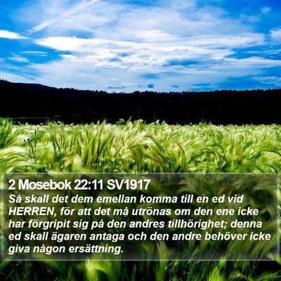 2 Mosebok 22:11 SV1917 Bible Verse Image
