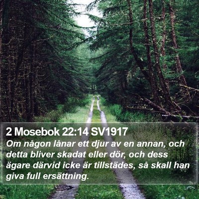 2 Mosebok 22:14 SV1917 Bible Verse Image