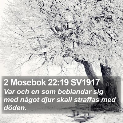 2 Mosebok 22:19 SV1917 Bible Verse Image
