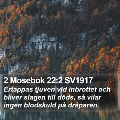 2 Mosebok 22:2 SV1917 Bible Verse Image
