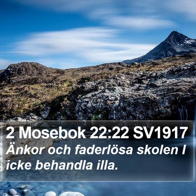 2 Mosebok 22:22 SV1917 Bible Verse Image
