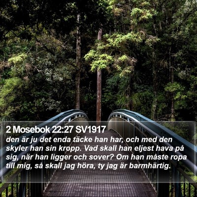 2 Mosebok 22:27 SV1917 Bible Verse Image