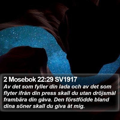 2 Mosebok 22:29 SV1917 Bible Verse Image