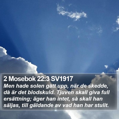 2 Mosebok 22:3 SV1917 Bible Verse Image