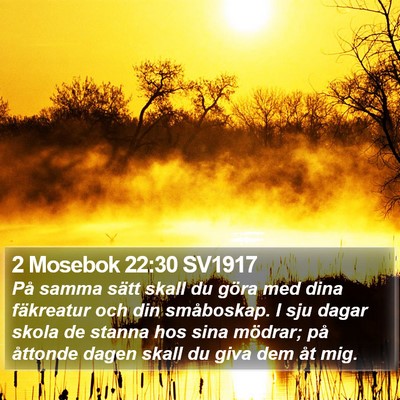 2 Mosebok 22:30 SV1917 Bible Verse Image
