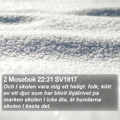2 Mosebok 22:31 SV1917 Bible Verse Image