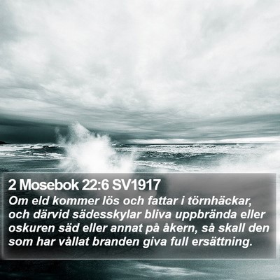 2 Mosebok 22:6 SV1917 Bible Verse Image