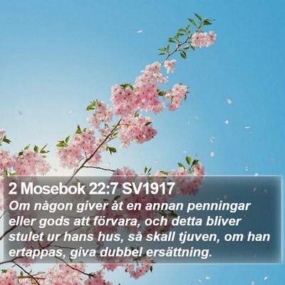 2 Mosebok 22:7 SV1917 Bible Verse Image