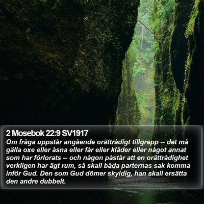 2 Mosebok 22:9 SV1917 Bible Verse Image