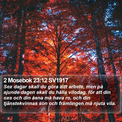 2 Mosebok 23:12 SV1917 Bible Verse Image