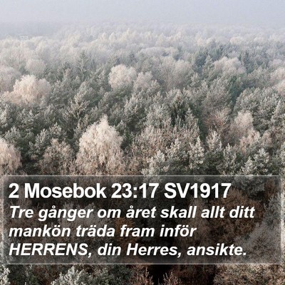 2 Mosebok 23:17 SV1917 Bible Verse Image