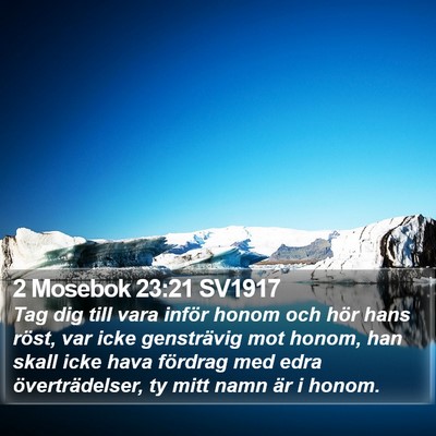 2 Mosebok 23:21 SV1917 Bible Verse Image