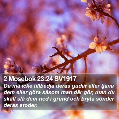 2 Mosebok 23:24 SV1917 Bible Verse Image