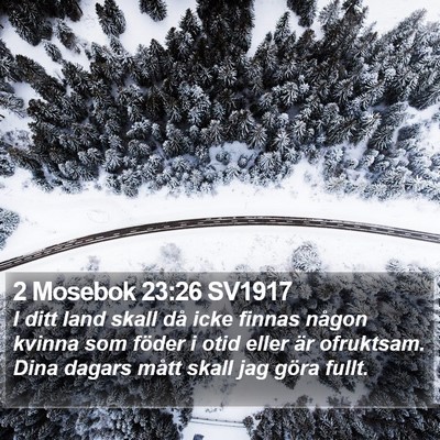 2 Mosebok 23:26 SV1917 Bible Verse Image