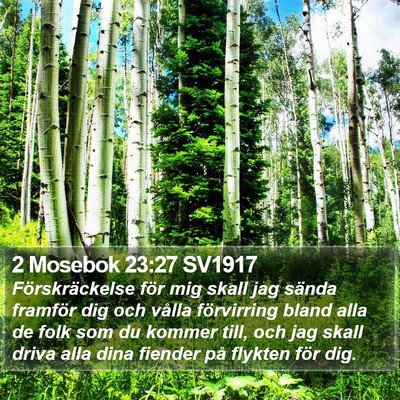2 Mosebok 23:27 SV1917 Bible Verse Image