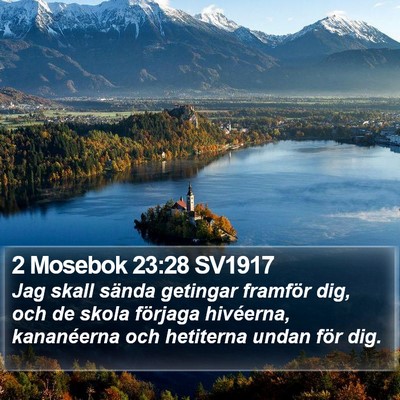 2 Mosebok 23:28 SV1917 Bible Verse Image