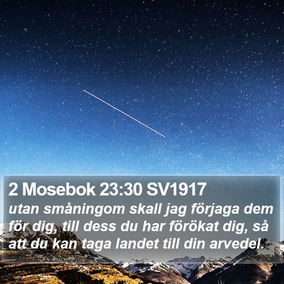 2 Mosebok 23:30 SV1917 Bible Verse Image