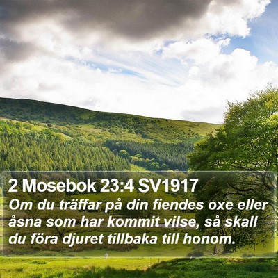 2 Mosebok 23:4 SV1917 Bible Verse Image