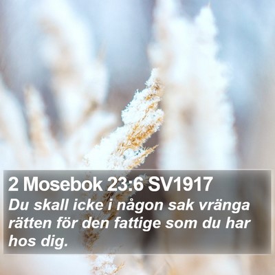 2 Mosebok 23:6 SV1917 Bible Verse Image