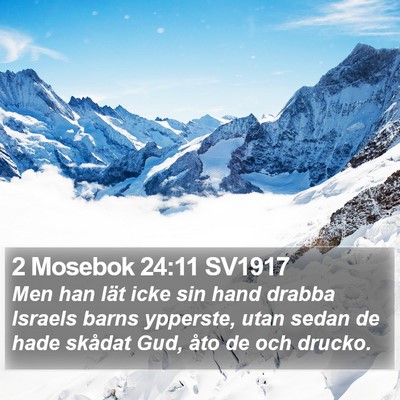 2 Mosebok 24:11 SV1917 Bible Verse Image