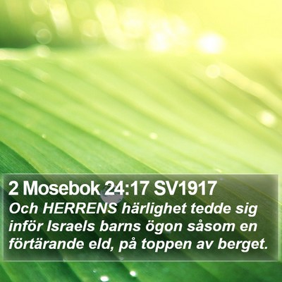 2 Mosebok 24:17 SV1917 Bible Verse Image