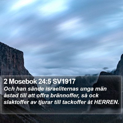 2 Mosebok 24:5 SV1917 Bible Verse Image